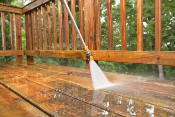 Best Pressure Washing Company Near Me  in Terrace Heights, WA