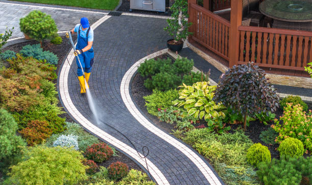 Best Roof Power Washing Services  in Terrace Heights, WA