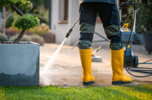Best Commercial Building Pressure Washing  in Terrace Heights, WA